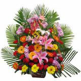 Űʻٵ